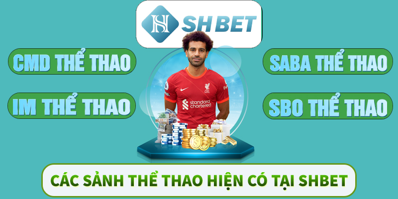 Các sảnh thể thao hiện có tại SHBET